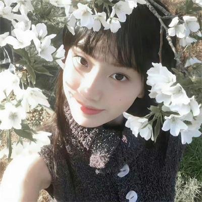 小鼠朋友